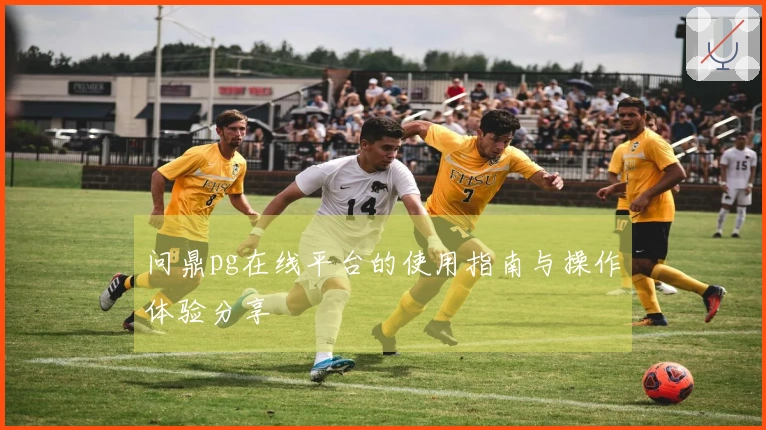 问鼎pg在线平台的使用指南与操作体验分享