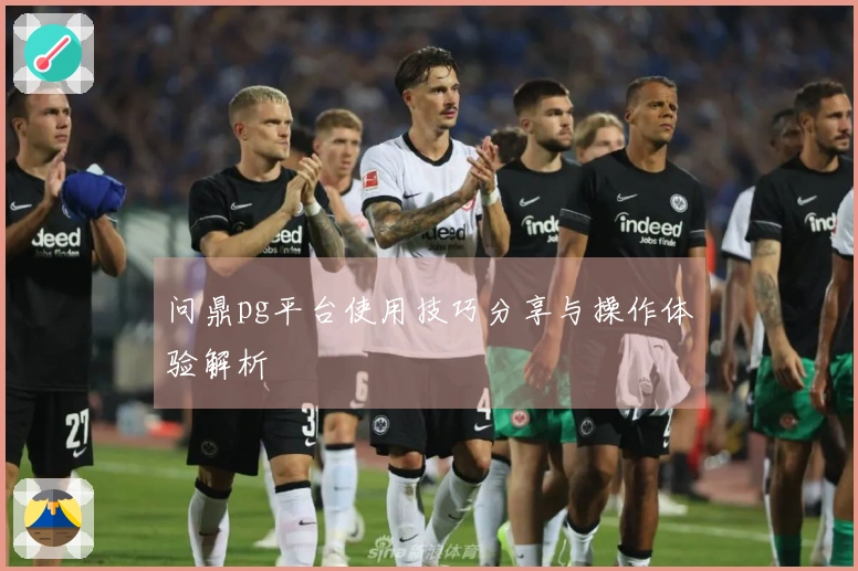 问鼎pg平台使用技巧分享与操作体验解析