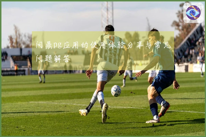 问鼎pg应用的使用体验分享与常见问题解答