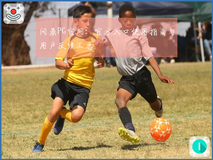 问鼎PG官网：官方入口使用指南与用户反馈汇总