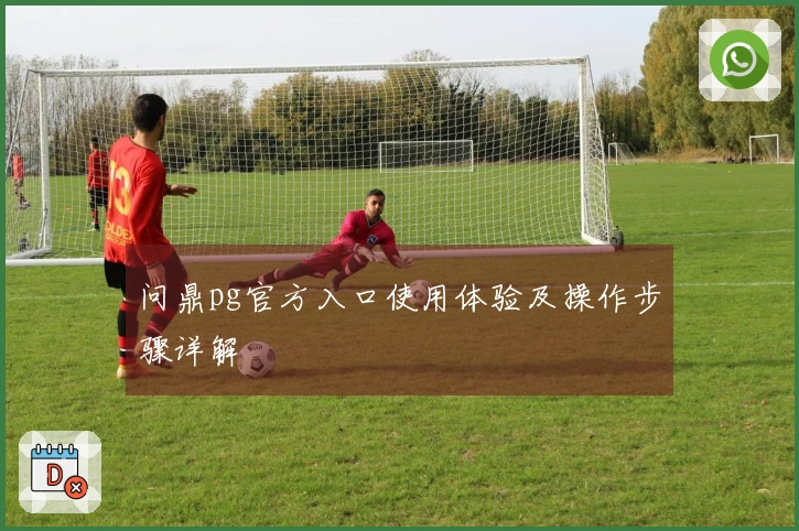 问鼎pg官方入口使用体验及操作步骤详解