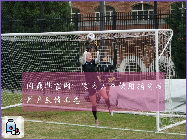 问鼎PG官网：官方入口使用指南与用户反馈汇总